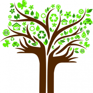 sostenibilita_cucina_torino