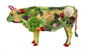 corsi di cucina vegetariana a torino