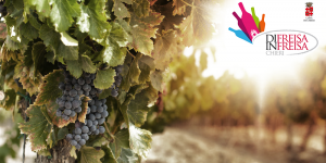 Di freisa in Freisa degustazione vini