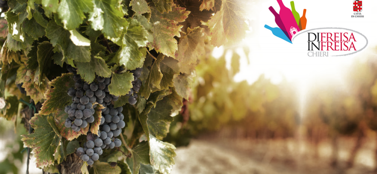 Di freisa in Freisa degustazione vini