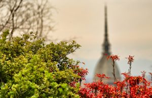 salone_del_gusto_corsi_di_cucina_torino_corsi_professionali