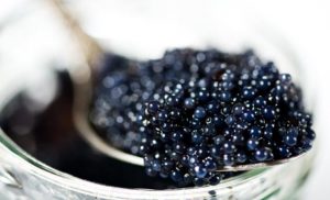 degustazioni a torino