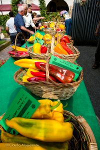 fiera del peperone a carmagnola