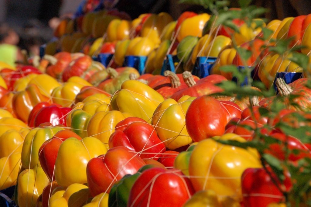 fiera del peperone a carmagnola